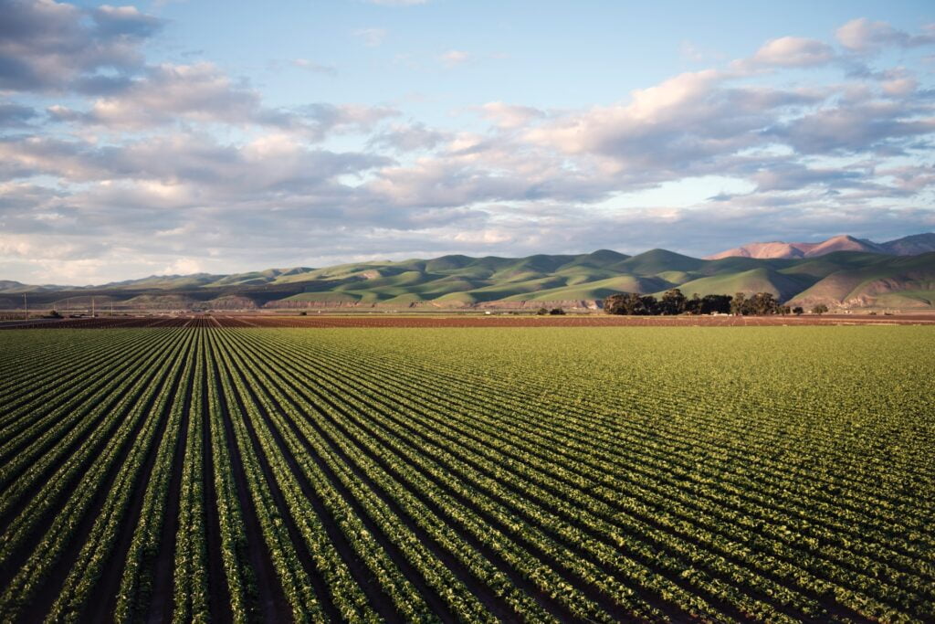 United States Farming