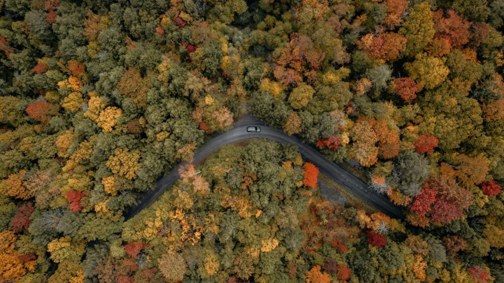 Catskill Mountains