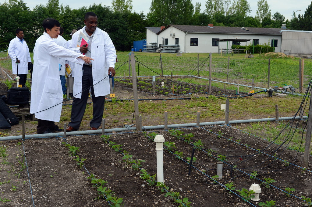 soil management