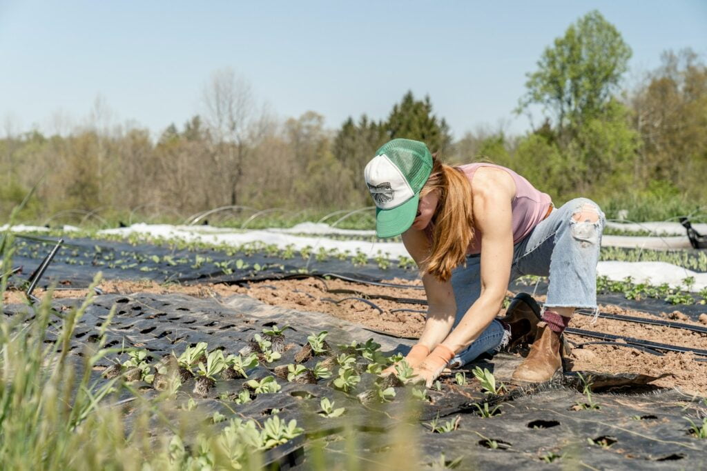 organic farming